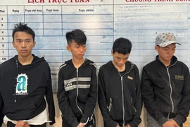 Gia Lai: Làm rõ nhóm thiếu niên trộm 12 xe máy, xe điện