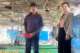 Chi hội trưởng nông dân gương mẫu, làm kinh tế giỏi ở An Nhơn Nam