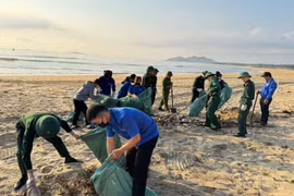 Tuổi trẻ Phù Mỹ Đông đồng loạt ra quân “Ngày Chủ nhật xanh” lần thứ I năm 2026