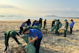 Tuổi trẻ Phù Mỹ Đông đồng loạt ra quân “Ngày Chủ nhật xanh” lần thứ I năm 2026