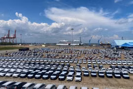 Hơn 1.530 ô tô nhập khẩu cập cảng TP HCM, sẵn sàng cho mùa mua sắm cuối năm