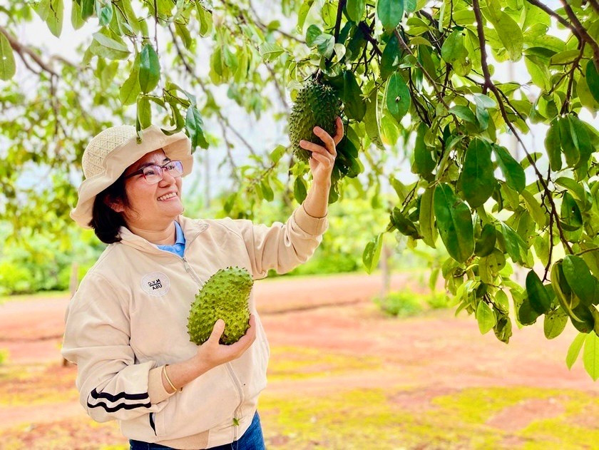 Thông qua tập huấn, đào tạo đã giúp các chủ thể hình thành, hiện thực hóa ý tưởng, dự án khởi nghiệp. Ảnh: T.D 8080d5d44216f748ae07.jpg