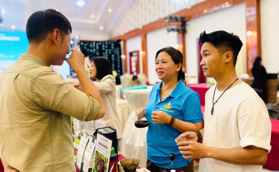 Trải nghiệm các mẫu cà phê Robusta Gia Lai. Ảnh: T.D d9a5b51c3e21887fd130.jpg