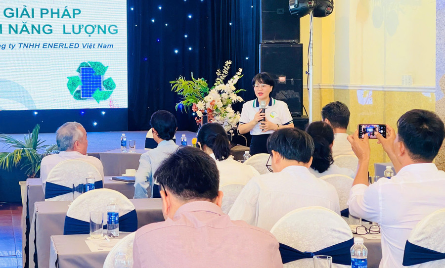 Chuyên gia chia sẻ về giải pháp công nghệ, kỹ thuật trong sử dụng năng lượng hiệu quả. Ảnh: T.D 13c4b01172a2fafca3b3.jpg