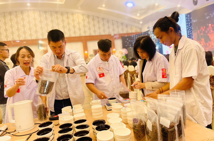 Hoạt động Cupping và phân tích cảm quan tại sự kiện "Xây dựng hương vị Robusta Gia Lai và lan tỏa những mẫu chế biến tốt lần 1-2025". Ảnh: T.D c79424eaa1d717894ec6.jpg