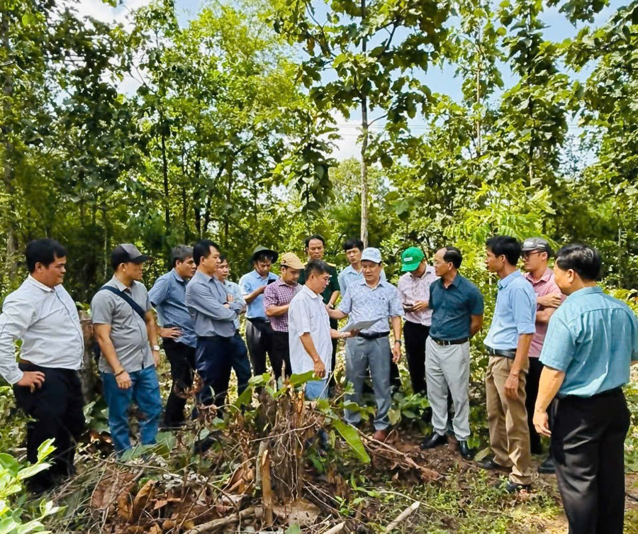 Đoàn công tác khảo sát thực tế địa điểm xây dựng trường học tại xã Ia Mơ. Ảnh: H.T 3247f5b9494dc013995c.jpg