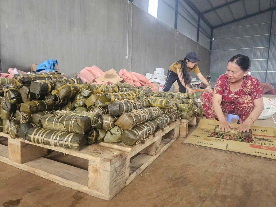 Chỉ trong 2 ngày (28 đến 29-10), hơn 600 chiếc bánh tét đã được gói và nấu chín, sẵn sàng gửi cứu trợ người dân vùng lũ. Ảnh: R'Ô HOK z7171645668416-1ce618fd4dc89d0fe838f9f0e92a3e3c.jpg