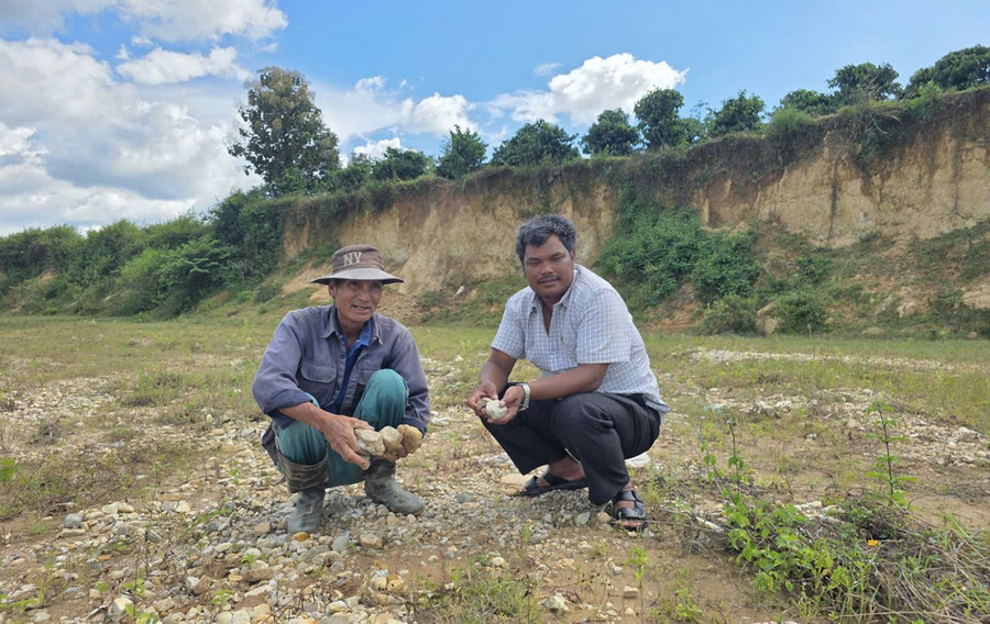 Những năm qua, sông bị sạt lở nghiêm trọng khiến 3 sào ruộng của gia đình ông Hưih (bên trái, thôn Plei Atur, xã Ayun) bị mất trắng. Ảnh: M.P nhung-nam-qua-song-bi-sat-lo-nghiem-trong-khien-3-sao-ruong-cua-gia-dinh-ong-huih-ben-trai-thon-plei-atur-xa-ayun-bi-mat-trang-anh-mp.jpg