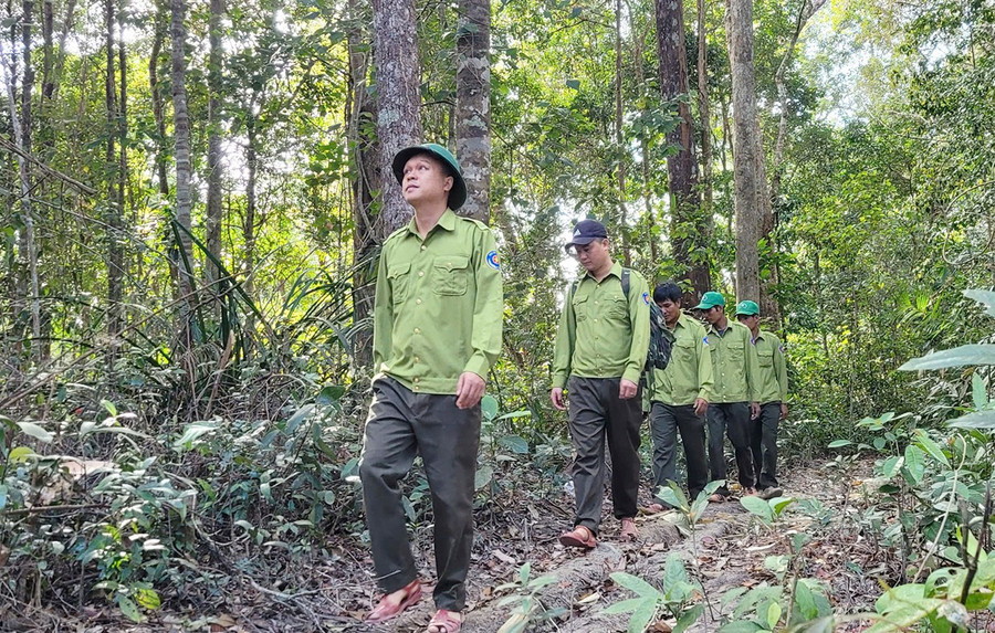 can-bo-nhan-vien-vuon-quoc-gia-kon-ka-kinh-tuan-tra-bao-ve-rung.jpg