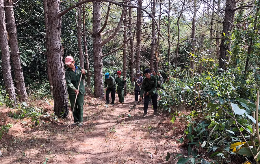 ban-quan-ly-rung-phong-ho-ia-ly-phoi-hop-voi-nguoi-dan-lam-duong-ranh-can-lua-de-phong-chong-chay-rung.jpg