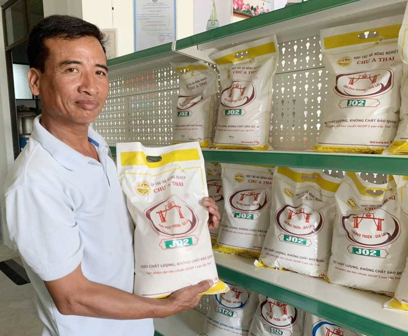 HTX Nông nghiệp Chư A Thai sản xuất lúa chất lượng cao, xây dựng thương hiệu "Gạo Phú Thiện" được người tiêu dùng tin chọn. Ảnh: M.T htx-nong-nghiep-chu-a-thai-xa-ia-ake-san-xuat-lua-chat-luong-cao-xay-dung-thuong-hieu-gao-phu-thien-duoc-nguoi-tieu-dung-tin-chon.jpg