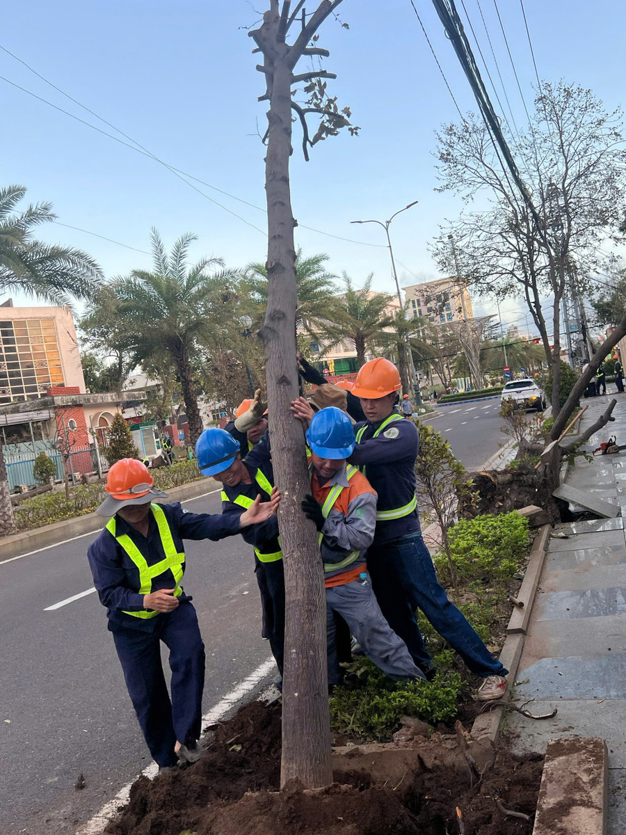 cac-cong-nhan-cong-ty-co-phan-cong-trinh-do-thi-gia-lai-trong-lai-tung-cay-da-nga-do-do-bao.jpg