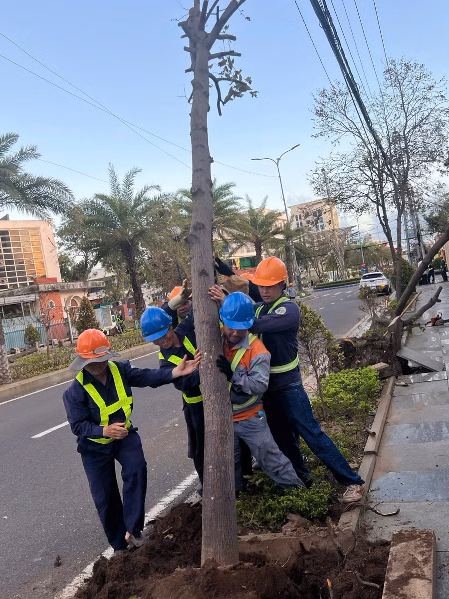 cac-cong-nhan-cong-ty-co-phan-cong-trinh-do-thi-gia-lai-trong-lai-tung-cay-da-nga-do-do-bao.jpg