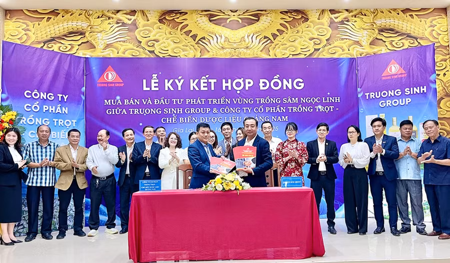 lanh-dao-truong-sinh-group-va-cong-ty-co-phan-trong-trot-che-bien-duoc-lieu-quang-nam-ky-ket-hop-dong-mua-ban-va-dau-tu-phat-trien-vung-trong-sam-ngoc-linh.jpg