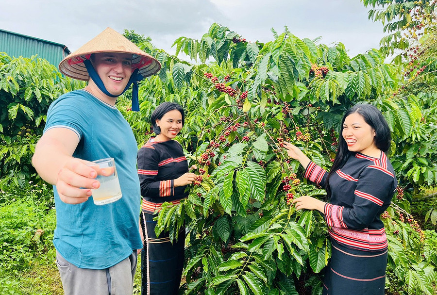 anh-elliot-connelly-du-khach-den-tu-vuong-quoc-anh-tham-gia-trai-nghiem-thu-hoach-ca-phe-voi-nguoi-dan-lang-mrong-yo-1-xa-ia-phi.jpg