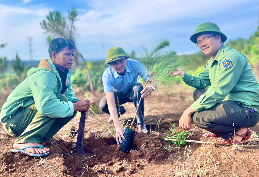 Ban Quản lý rừng phòng hộ Bắc Biển Hồ đã hoàn thành toàn bộ kế hoạch được giao năm 2025. Ảnh: M.P ban-quan-ly-rung-phong-ho-bac-bien-ho-da-hoan-thanh-toan-bo-ke-hoach-duoc-giao-nam-2025.jpg