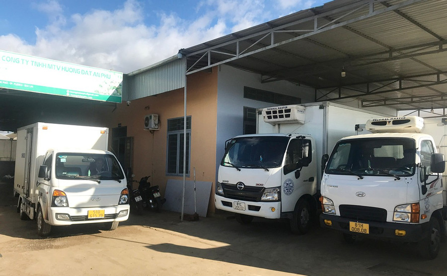 phuong-tien-van-chuyen-rau-cu-qua-cua-cong-ty-tnhh-mtv-huong-dat-an-phu-san-sang-van-chuyen-trong-ngay-mung-6.jpg