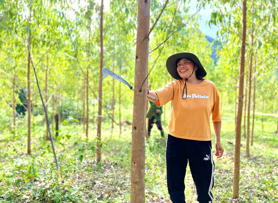 Chị Đinh Thị Khyenh (làng Lơ Vi, xã Kbang) chăm sóc diện tích rừng trồng của gia đình. Ảnh: N.S chi-dinh-thi-khyenh-lang-lo-vi-xa-kbang-don-tia-canh-nhanh-tren-dien-tich-rung-trong.jpg