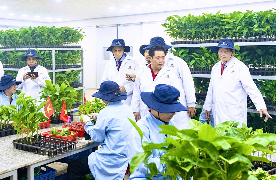 Vườn ươm giống chanh dây ứng dụng công nghệ Israel của Công ty cổ phần quốc tế Thông Đỏ (xã Ia Le, tỉnh Gia Lai). Ảnh: M.P vuon-uom-giong-chanh-day-ung-dung-cong-nghe-israel-cua-cong-ty-co-phan-quoc-te-thong-do-xa-ia-le-tinh-gia-lai-anh-mp.jpg