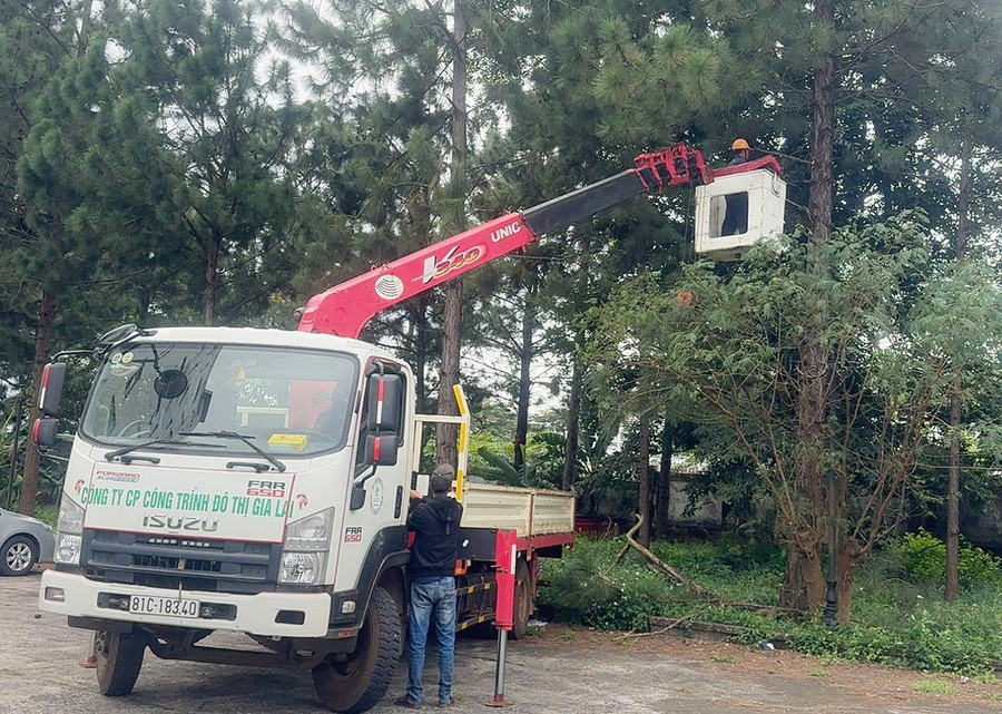 cong-nhan-cong-ty-co-phan-do-thi-gia-lai-cat-tia-cay-xanh-khu-vuc-duong-ly-tu-trong.jpg