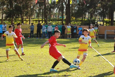 Gần 400 thí sinh toàn quốc thi tuyển vào đội U13 Hoàng Anh Gia Lai