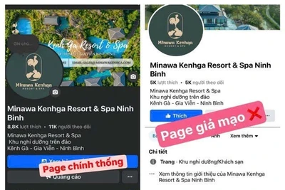 Mất 800 triệu đồng khi đặt phòng qua trang resort giả