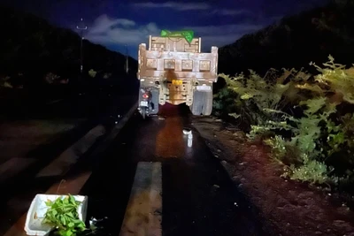 Tông vào xe ben đang đậu lề đường, 1 người tử vong