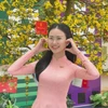 HẢI HÀ