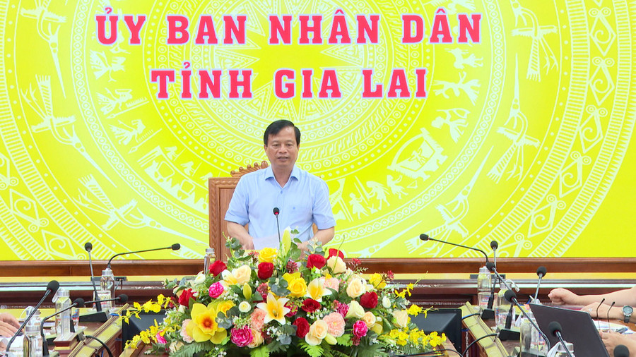 Phó Chủ tịch Thường trực UBND tỉnh Nguyễn Tuấn Thanh phát biểu chỉ đạo tại hội nghị. Ảnh: Bình Dương