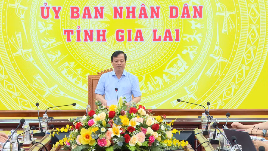 Phó Chủ tịch Thường trực UBND tỉnh Nguyễn Tuấn Thanh phát biểu chỉ đạo tại hội nghị. Ảnh: Bình Dương