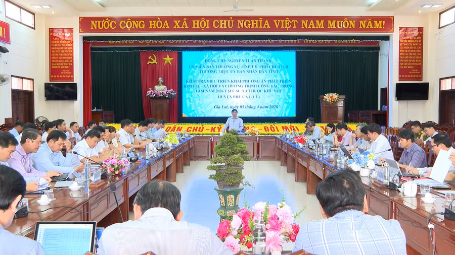 pho-chu-tich-thuong-truc-ubnd-tinh-nguyen-tuan-thanh-kiem-tra-tinh-hinh-trien-mot-so-cong-trinh-du-an-tren-dia-ban-2-xa-phu-cat-va-hoa-hoi.jpg