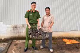 Thấy đại bàng núi bay vào nhà, người đàn ông mang đến Công an xã giao nộp