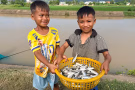 Thích thú câu cá linh ở hồ Ayun Hạ