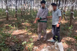 35 giờ phá án bắt đối tượng trộm két sắt, thu giữ hàng trăm triệu đồng