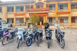 Lực lượng Công an xã Mang Yang, tỉnh Gia Lai triển khai phương án truy bắt và xử lý nhóm thanh thiếu niên điều khiển xe máy lạng lách, đánh võng gây mất trật tự công cộng trong đêm Giao thừa và những ngày đầu năm mới Bính Ngọ 2026