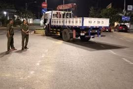 Xe tải cẩu nghi mất phanh gây tai nạn khiến tài xế tử vong.