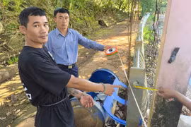 Bắt đối tượng trộm cắp dây điện ngầm ở Công viên Diên Hồng