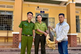 Thấy tê tê bò vào trước nhà, người đàn ông mang giao nộp cho Công an