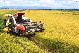 Công an xã Chư A Thai cảnh báo tình trạng “bảo kê” máy gặt lúa
