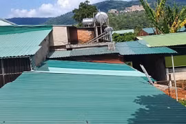 Cơ sở chăn nuôi heo ở Ia Phí bị phạt 1,5 triệu đồng vì gây ô nhiễm môi trường
