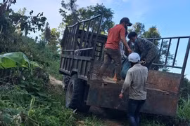 Ráo riết vây bắt đối tượng nổ súng giết người trong rừng sâu