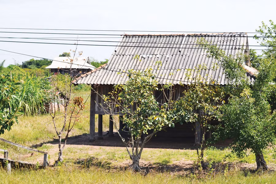 Nét đẹp Tây Bắc trên miền biên giới. Ảnh: Lê Hòa