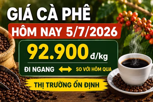 Giá cà phê hôm nay 5/7: Giữ nguyên sau nhiều phiên biến động
