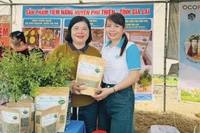 Trà hoa hòe của Hợp tác xã Nông nghiệp Dịch vụ Đức Thành Đạt (xã Ia Sol) là 1 trong 16 sản phẩm tham gia đánh giá, phân hạng sản phẩm OCOP huyện Phú Thiện năm 2025. Ảnh: Vũ Chi