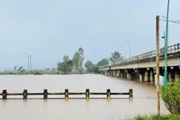 Mực nước sông Ba tại khu vực cầu Bến Mộng (phường Ayun Pa) hiện đang dâng cao gần mức báo động 3 khiến toàn bộ khu vực bờ kè bị ngập sâu, Ảnh: Vũ Chi