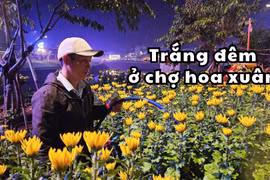 Trắng đêm ở chợ hoa xuân