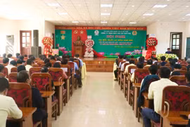 Công ty TNHH một thành viên Cao su Chư Păh đạt lợi nhuận trước thuế hơn 111 tỷ đồng