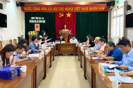 Khối thi đua các sở, ngành Khoa học-Văn hóa-Xã hội tỉnh Gia Lai tổng kết thi đua năm 2024