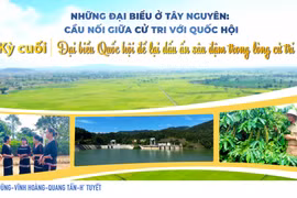 Đại biểu Quốc hội ghi dấu ấn trong lòng dân