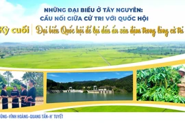 Đại biểu Quốc hội ghi dấu ấn trong lòng dân